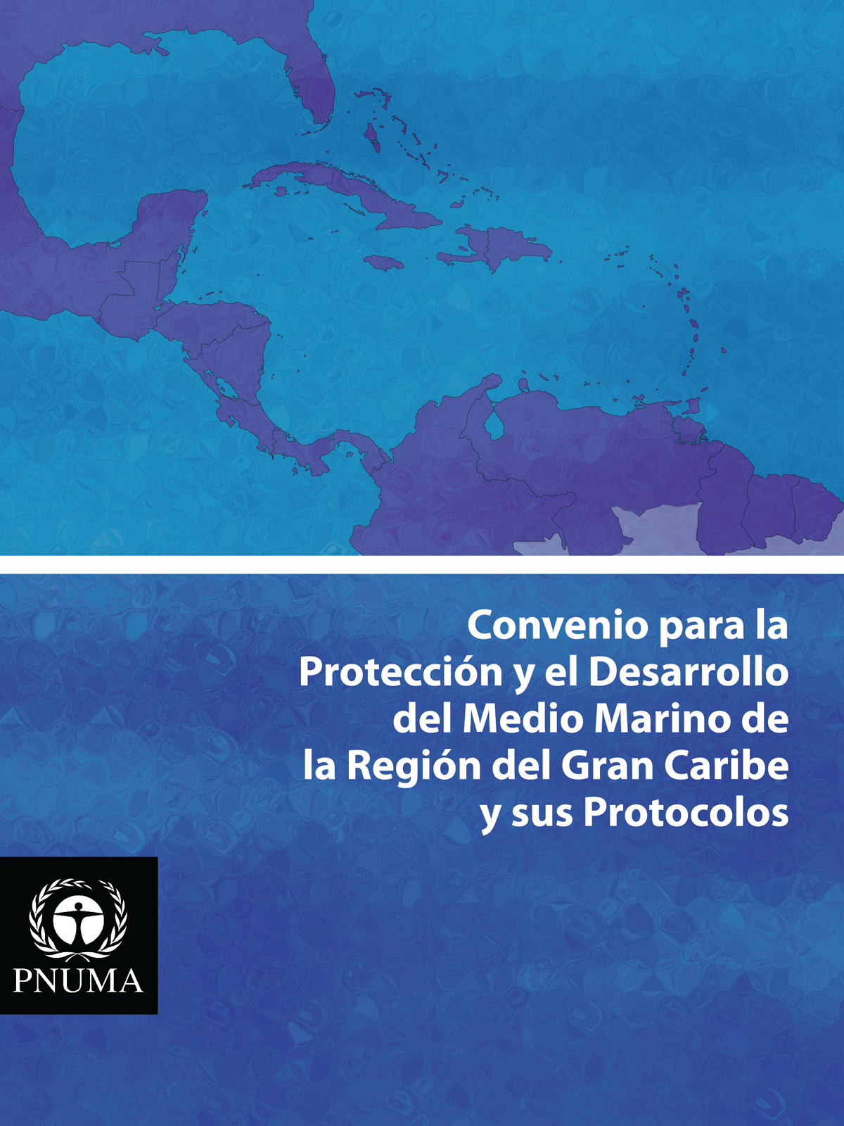 Texto del Convenio de Cartagena y sus Protocolos